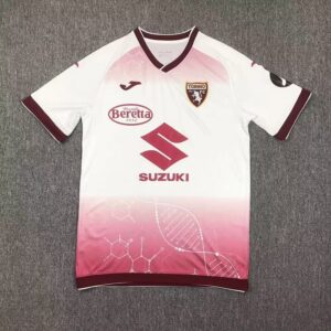 24-25 Torino Maillot Entrainement
