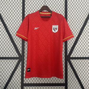 2024-25 Panama Maillot Domicile