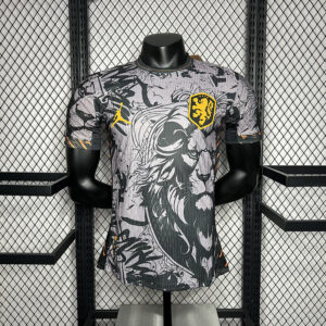 2024-25 Pays-Bas Maillot Domicile Version Joueur