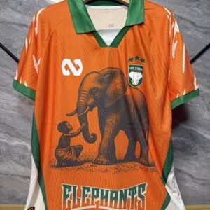 2025-06 Cote d Ivoire Maillot Special Version Joueur