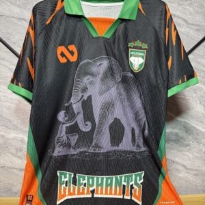 2025-06 Cote d Ivoire Maillot Special Version Joueur