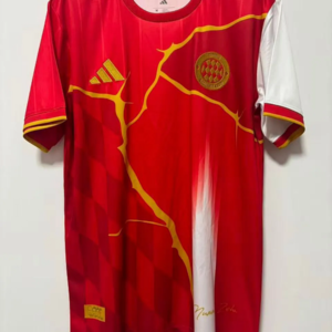 2025-26 Bayern Munich Maillot Special
