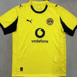 2025-26 Borussia Dortmund Maillot Special