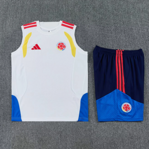 2025-26 Colombie Maillot Domicile