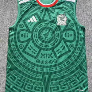 2025-26 Mexique Maillot Domicile
