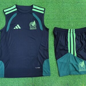 2025-26 Mexique Maillot Domicile