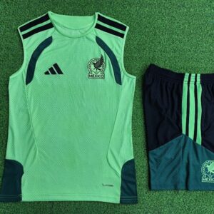 2025-26 Mexique Maillot Domicile