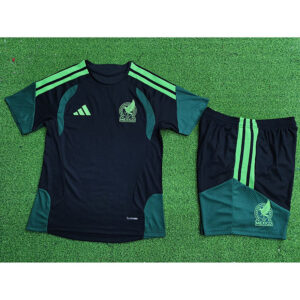 2025-26 Mexique Maillot Entrainement Version Joueur