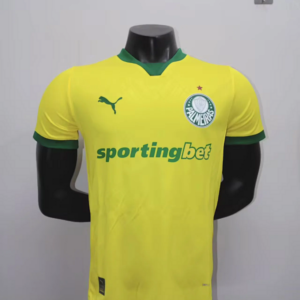 2025-26 Palmeiras Maillot Third