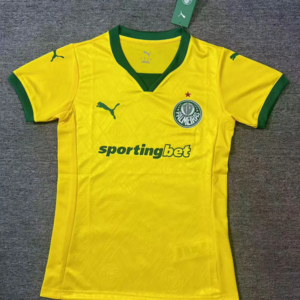 2025-26 Palmeiras Maillot Third