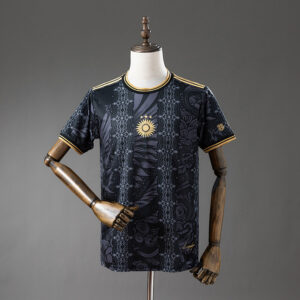 2026-27 Argentine Maillot Special