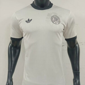 24-25 Allemagne Maillot Special Version Joueur