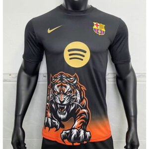 24-25 Barcelona Maillot Domicile Version Joueur