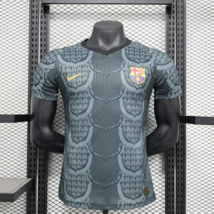 24-25 Barcelona Maillot Special Version Joueur