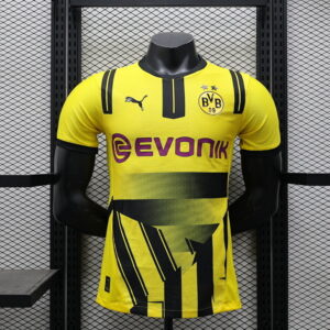 24-25 Borussia Dortmund Maillot Domicile Version Joueur