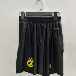 24-25 Borussia Dortmund Maillot Domicile Version Joueur