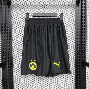 24-25 Borussia Dortmund Maillot Domicile Version Joueur