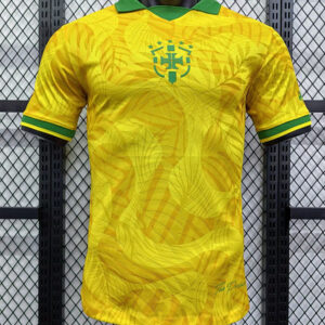 24-25 Bresil Maillot Special Version Joueur