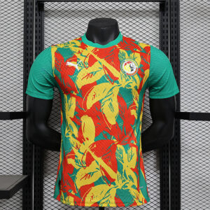 24-25 Cote d Ivoire Maillot Domicile Version Joueur