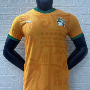 24-25 Cote d Ivoire Maillot Domicile Version Joueur
