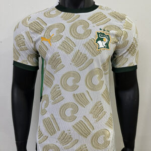 24-25 Cote d Ivoire Maillot Exterieur Version Joueur