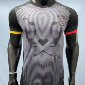 24-25 Galatasaray Maillot Domicile Version Joueur