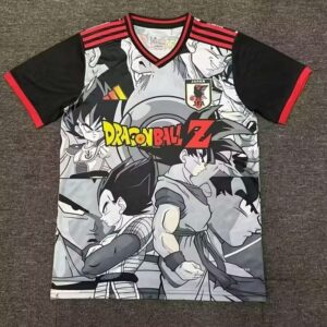 24-25 Japon Maillot Domicile