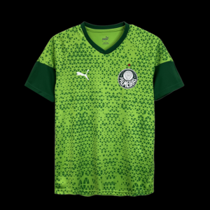 24-25 Palmeiras Maillot Entrainement