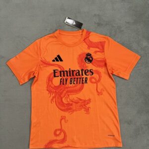 24-25 Real Madrid Maillot Special