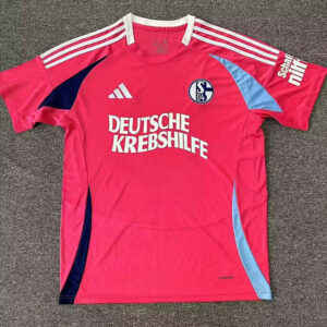 24-25 Schalke 04 Maillot Special