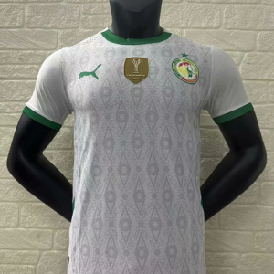 24-25 Senegal Maillot Domicile Version Joueur