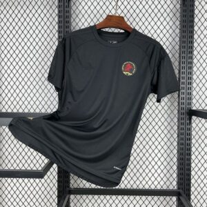 25-26 Aston Villa Maillot Domicile