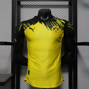25-26 Borussia Dortmund Maillot Domicile Version Joueur