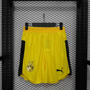 25-26 Borussia Dortmund Maillot Domicile Version Joueur