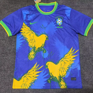 25-26 Bresil Maillot Special