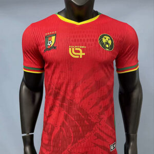 25-26 Cameroun Maillot Domicile Version Joueur