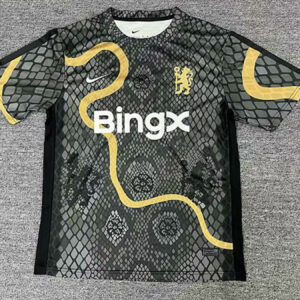 25-26 Chelsea Maillot Domicile