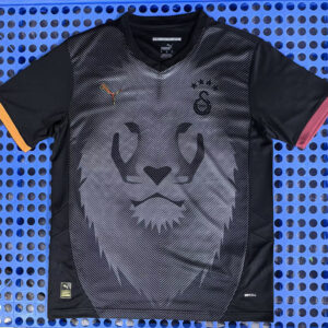 25-26 Galatasaray Maillot Special