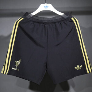 25-26 Mexique Maillot Domicile Version Joueur