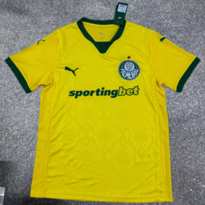 25-26 Palmeiras Maillot Third