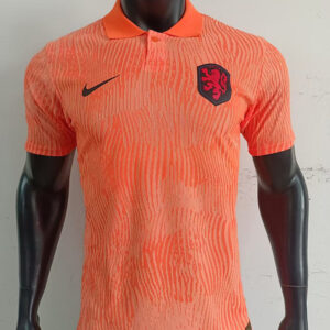 25-26 Pays-Bas Maillot Domicile Version Joueur