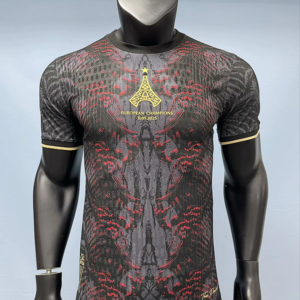 25-26 PSG Maillot Special Version Joueur
