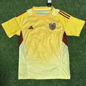 25-26 Venezuela Maillot Gardien