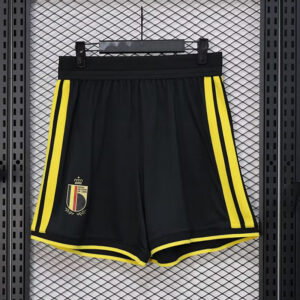 Belgique Maillot Domicile Version Joueur