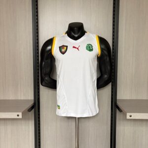 Cameroun Maillot Exterieur Retro