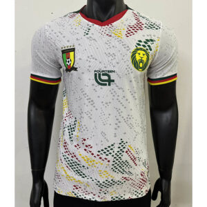 Cameroun Maillot Exterieur Version Joueur