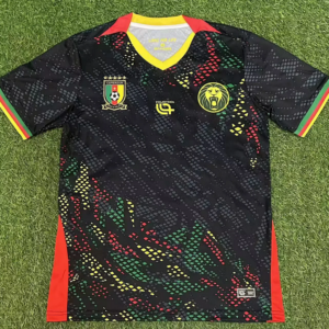 Cameroun Maillot Special