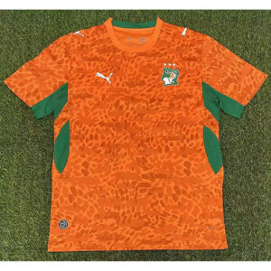 Cote d Ivoire Maillot Domicile