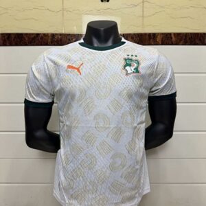 Cote d Ivoire Maillot Exterieur Version Joueur