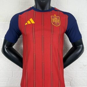 Espagne Maillot Domicile Version Joueur